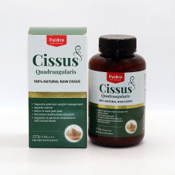 Cissus Powder 225g (100% Natural Raw Cissus)